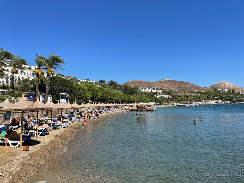 Отель покорил мое сердце с первой минуты!