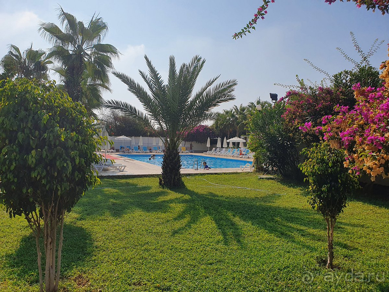 Отель The Garden Beach это идеальное соотношение цена-качество! Отель The Garden Beach это идеальное соотношение цена-качество!