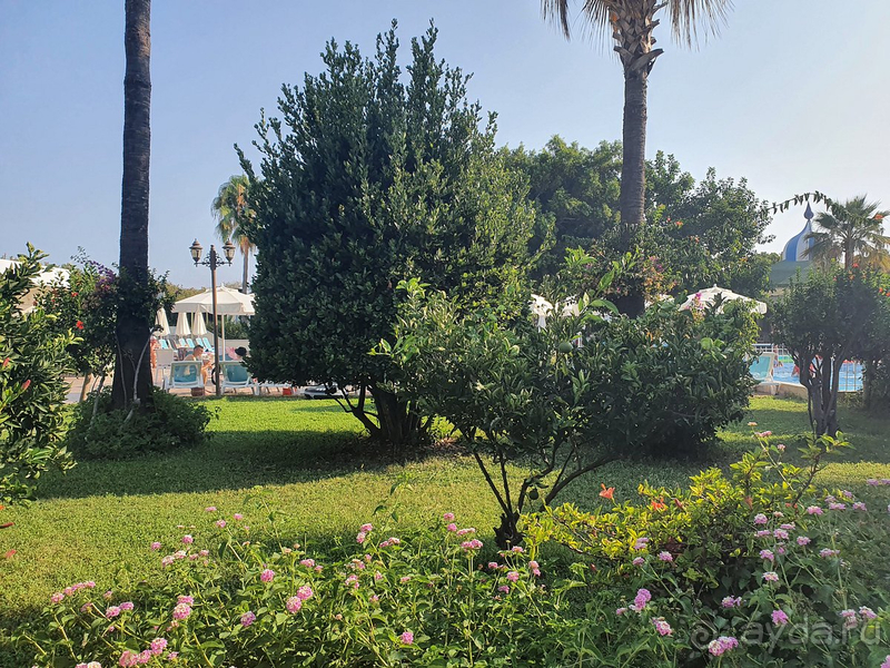 фото The Garden Beach Hotel