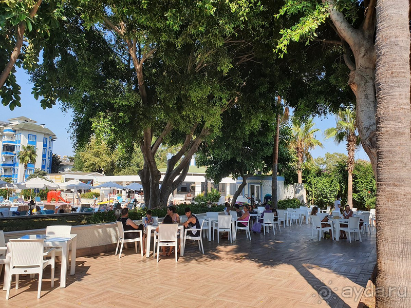 фото The Garden Beach Hotel