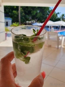 Отель The Garden Beach это идеальное соотношение цена-качество! Отель The Garden Beach это идеальное соотношение цена-качество!