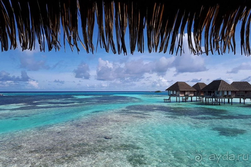 Отлично отдохнули с детьми. Но и без детей здесь превосходно