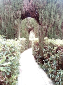 Отличный отель