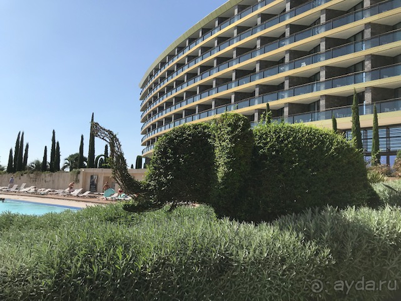 Шикарный отдых