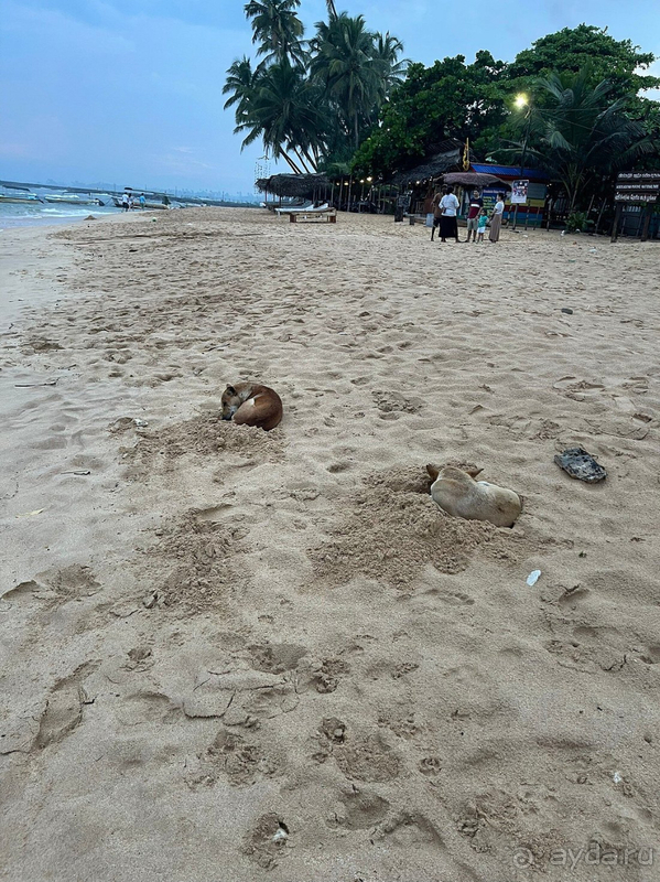 Мне очень здесь понравилось. 