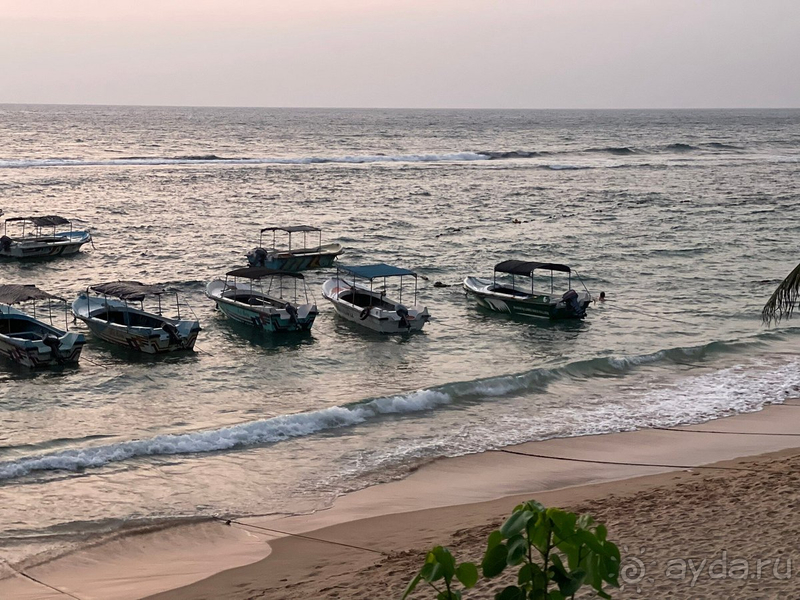 Мне очень здесь понравилось. 