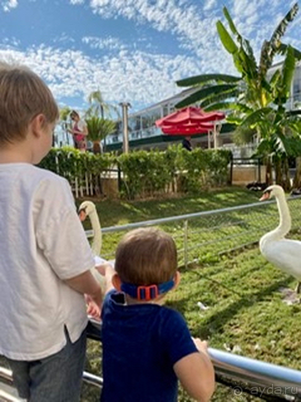 Мой любимый отель в Турции