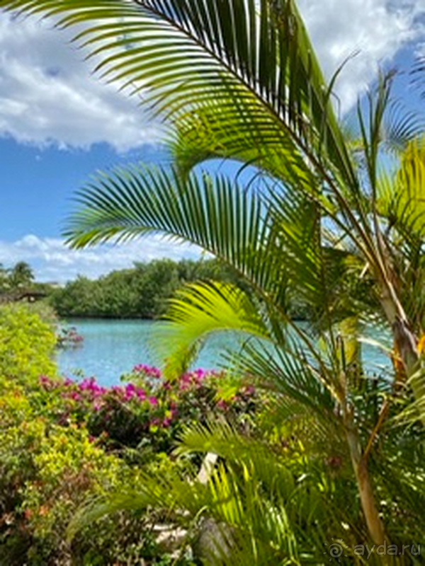 Моя попытка номер три