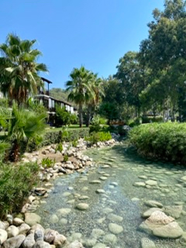 Глоток свежего воздуха в пандемию