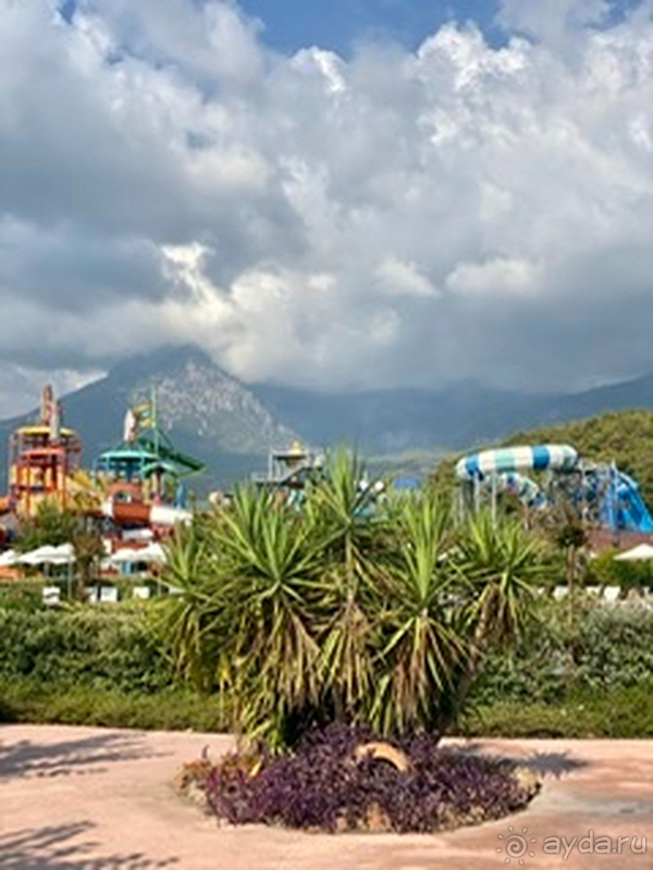 Глоток свежего воздуха в пандемию