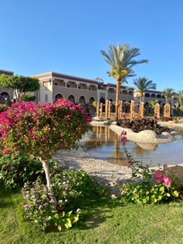 Достойный египетский отель, можно смело ехать