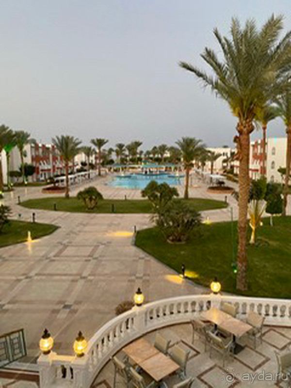 Достойный египетский отель, можно смело ехать