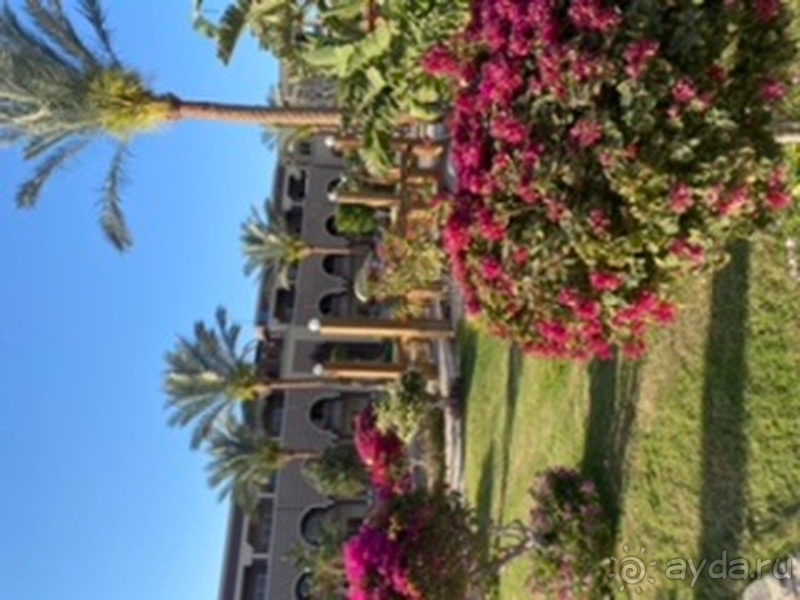 Достойный египетский отель, можно смело ехать