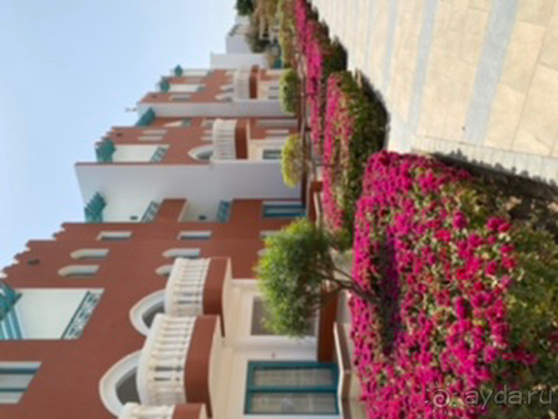 Достойный египетский отель, можно смело ехать