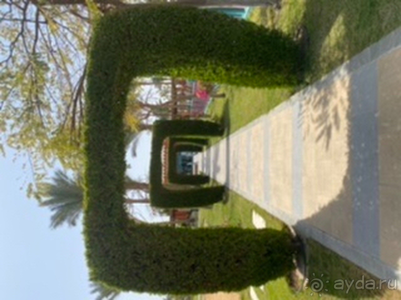 Достойный египетский отель, можно смело ехать