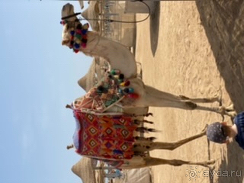 Достойный египетский отель, можно смело ехать