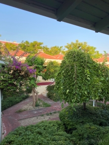 Отдых во времена пандемии 