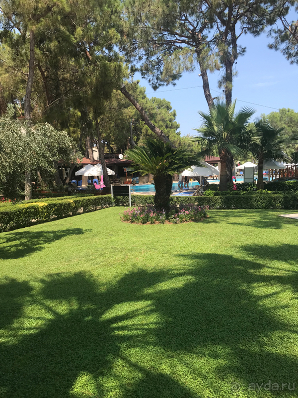 фото Seven Seas Hotel Life