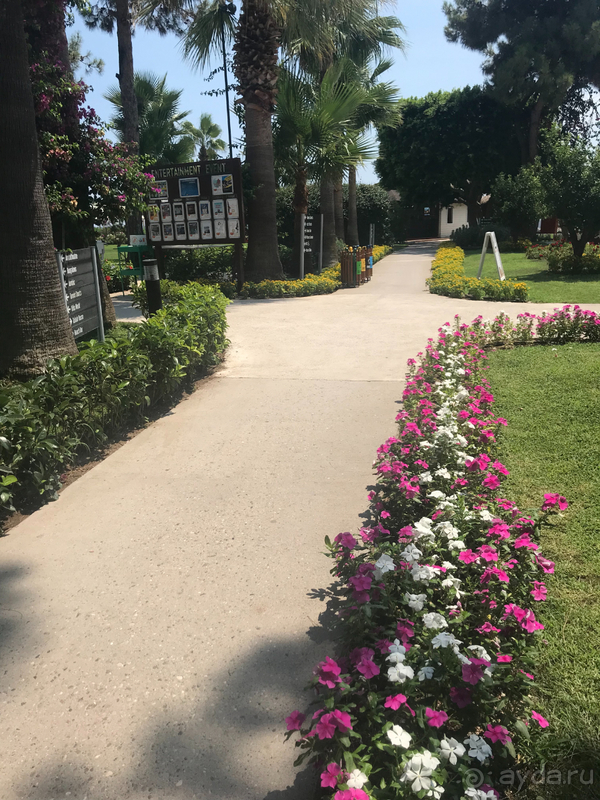 Отель, в который хочется вернуться 