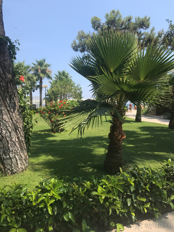 Отель, в который хочется вернуться 