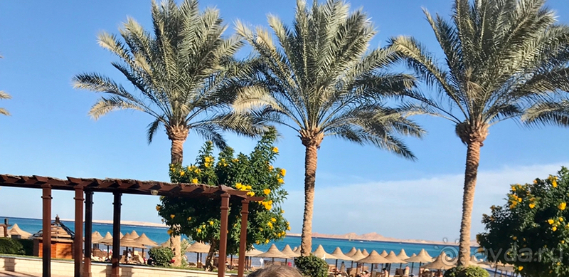 Отдых в Египте зимой