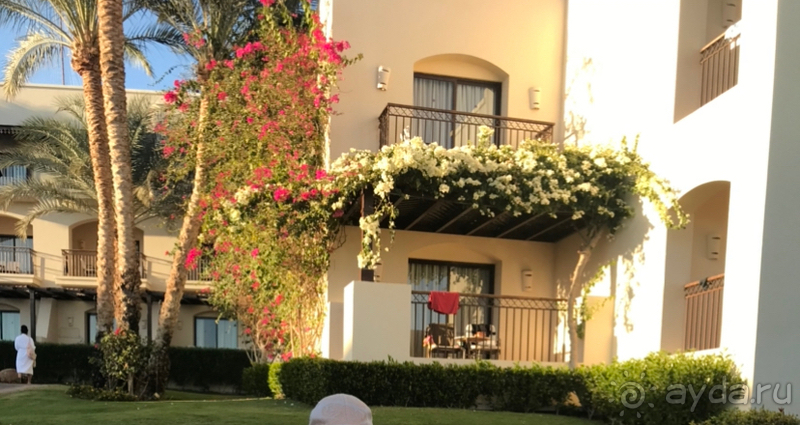 Отдых в Египте зимой