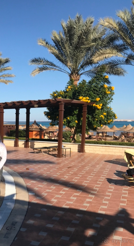 Отдых в Египте зимой