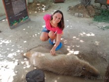 Альпака-Парк и Земля Королей