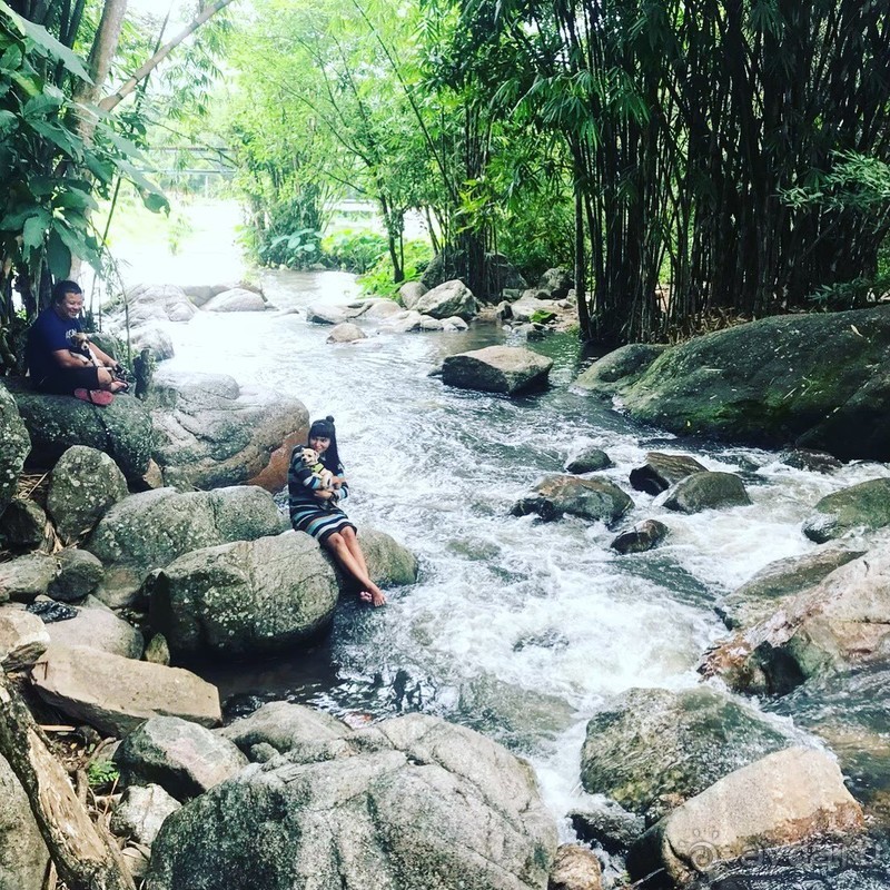 Альпака-Парк и Земля Королей