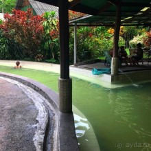 Альпака-Парк и Земля Королей