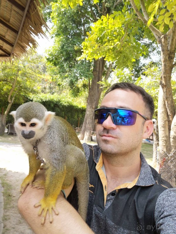 фото Grand Jomtien Palace