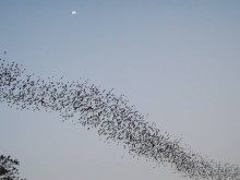 фото Grand Jomtien Palace