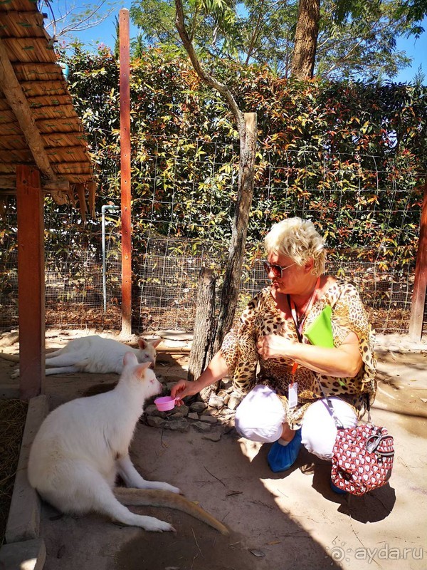 фото Grand Jomtien Palace
