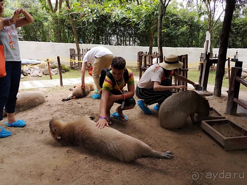 Альпака-Парк и Земля Королей