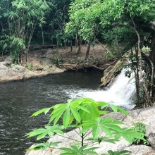 Альпака-Парк и Земля Королей