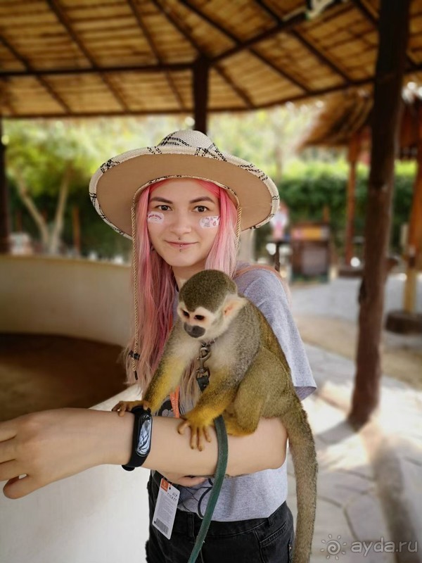 Альпака-Парк и Земля Королей