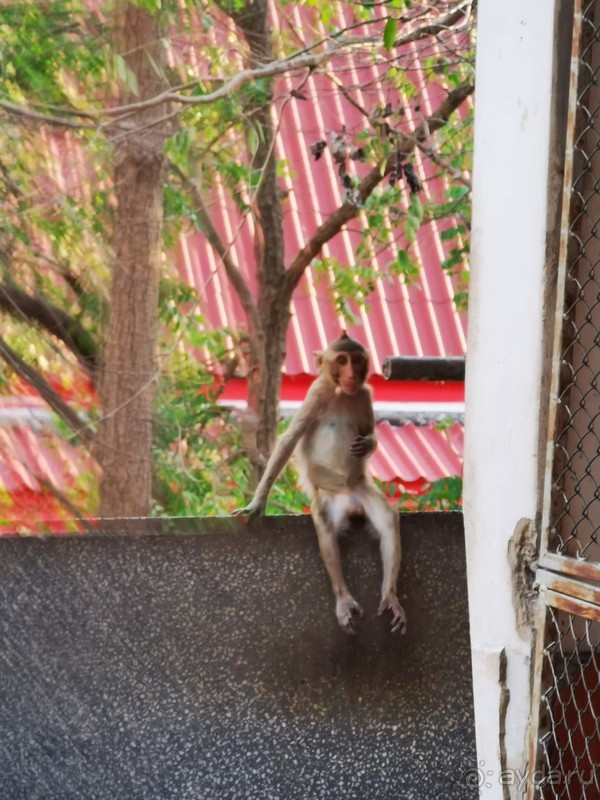 фото Grand Jomtien Palace