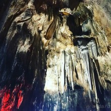 Альпака-Парк и Земля Королей