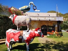 Альпака-Парк и Земля Королей