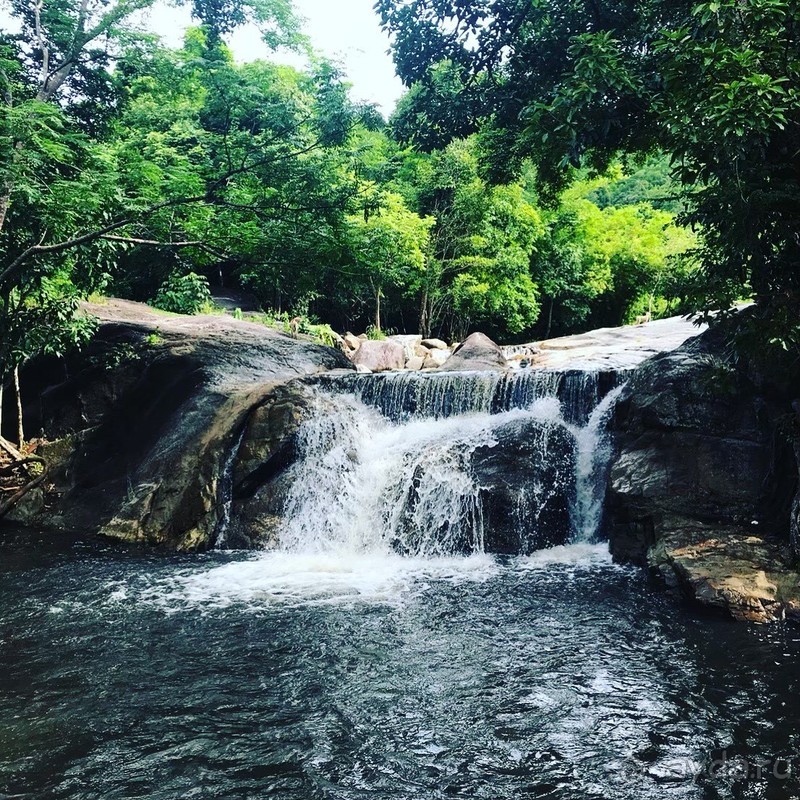 Альпака-Парк и Земля Королей