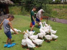 Альпака-Парк и Земля Королей