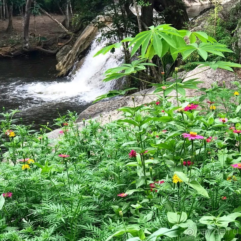 Альпака-Парк и Земля Королей