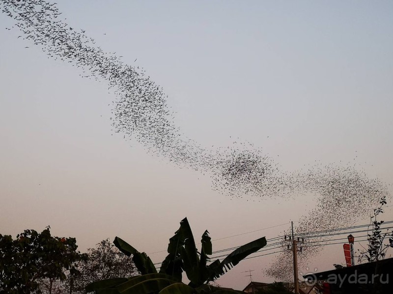 фото Grand Jomtien Palace