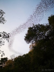 Альпака-Парк и Земля Королей