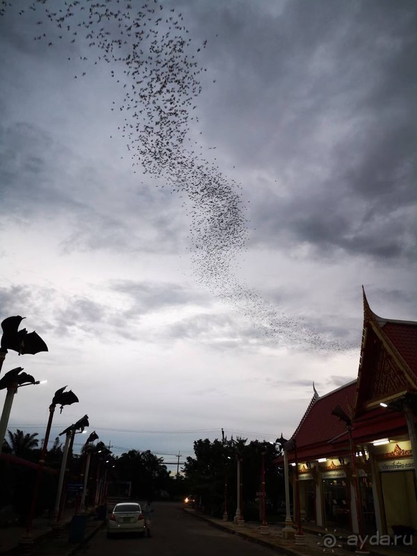 Альпака-Парк и Земля Королей