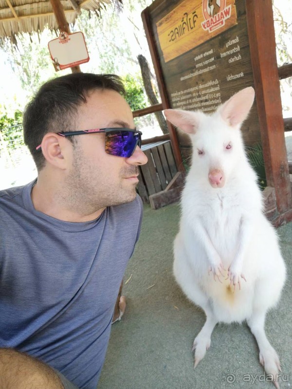 фото Grand Jomtien Palace