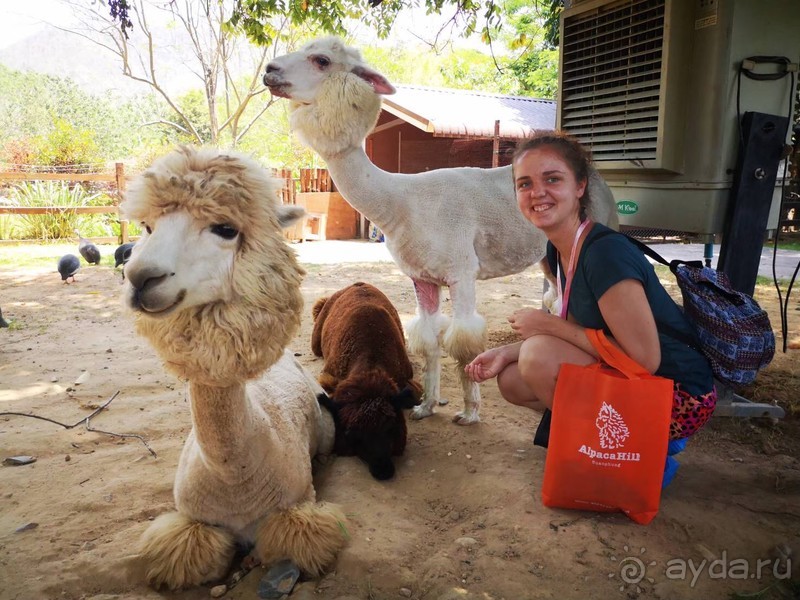 фото Grand Jomtien Palace