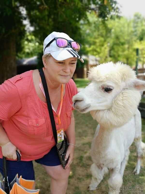 фото Grand Jomtien Palace