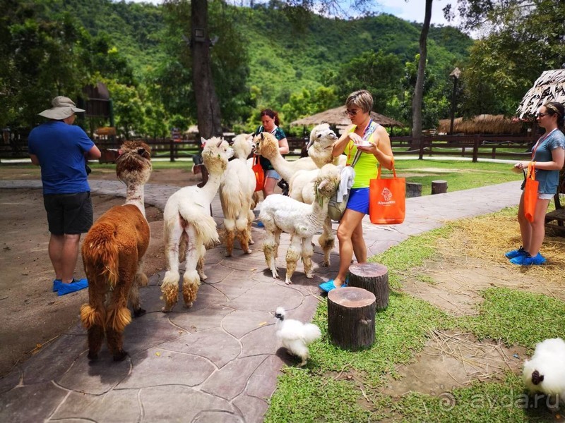 фото Grand Jomtien Palace