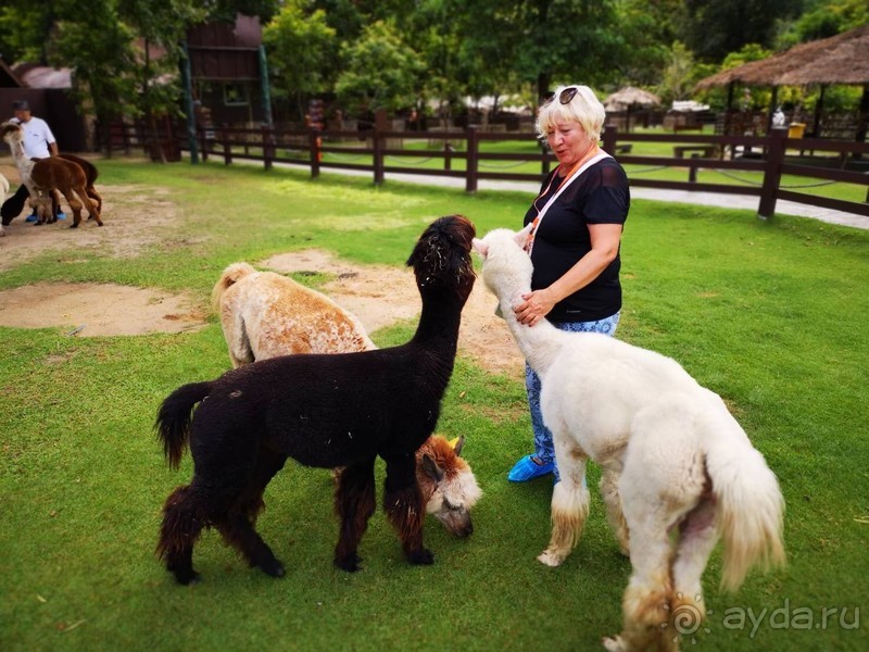 фото Grand Jomtien Palace